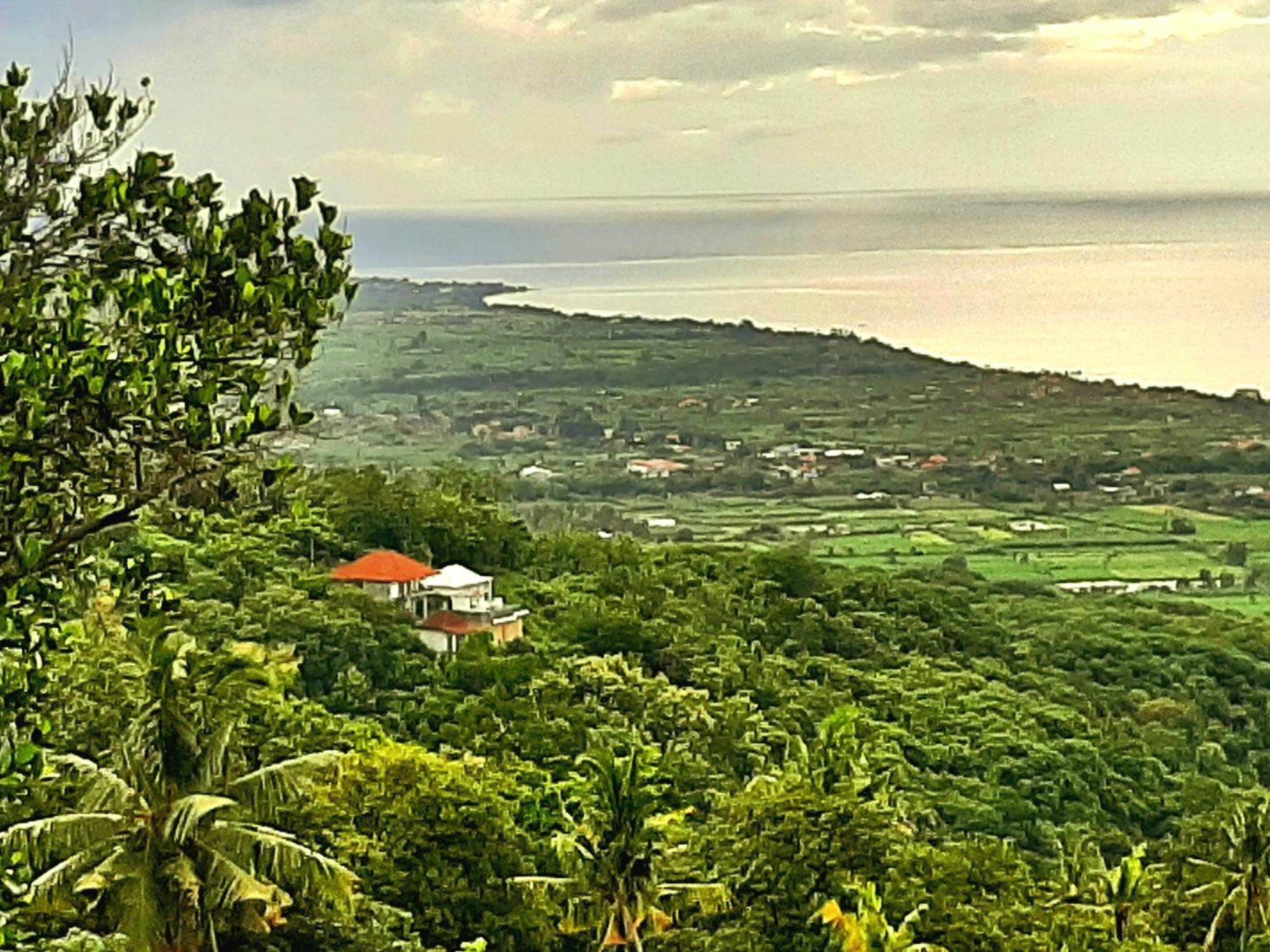Liri Villa - Ocean, Hills, Valley View Lovina Exterior foto