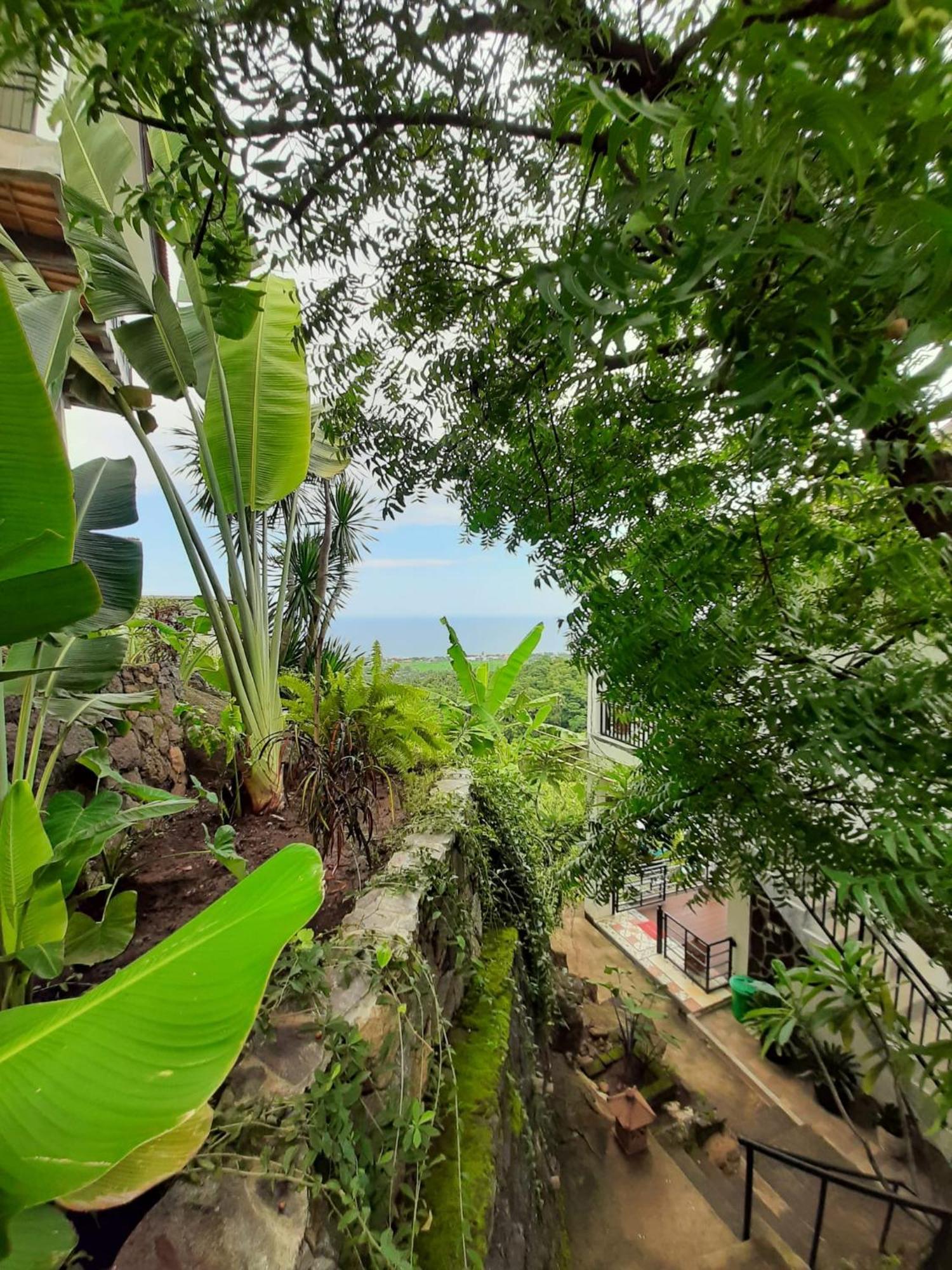 Liri Villa - Ocean, Hills, Valley View Lovina Exterior foto